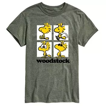 Мужская футболка с рисунком Peanuts Woodstock Grid Licensed Character, цвет Heather Green