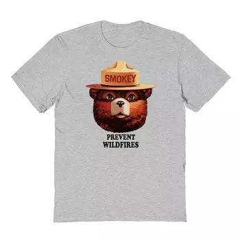 Мужская футболка с рисунком Smokey The Bear Prevent Forest Fires Licensed Character, серый