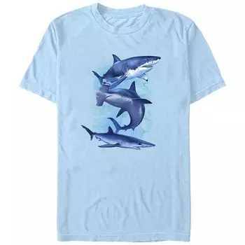 Мужская футболка с рисунком «Три синие акулы» Licensed Character, цвет Light Blue