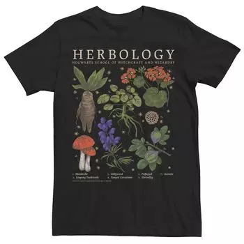 Мужская футболка с сеткой Harry Potter Herbology Herb Reference Licensed Character
