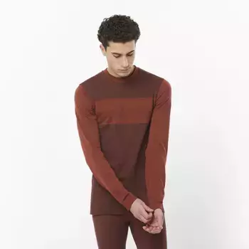 Мужская футболка Salomon Essential Wool, коричневый