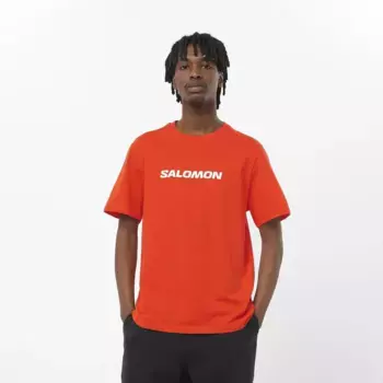 Мужская футболка Salomon Logo Performance, оранжевый