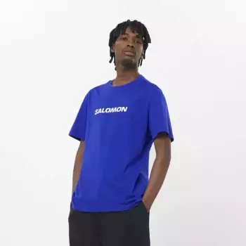Мужская футболка Salomon Logo Performance, синий