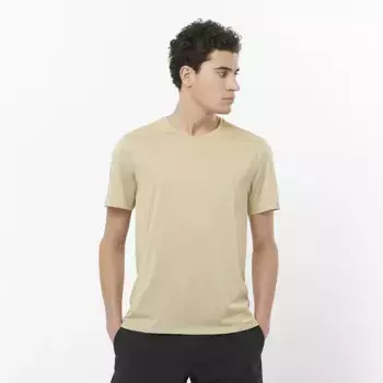 Мужская футболка Salomon Outline, бежевый