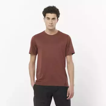 Мужская футболка Salomon Outline, коричневый