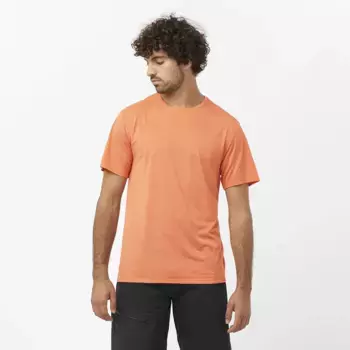 Мужская футболка Salomon Outline, оранжевый