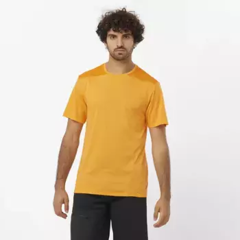 Мужская футболка Salomon Outline, оранжевый