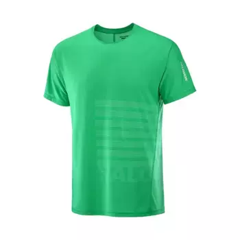 Мужская футболка Salomon SENSE AERO GRAPHIC с коротким рукавом, зеленый