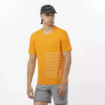 Мужская футболка Salomon Sense Aero, желтый
