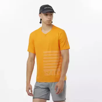 Мужская футболка Sense Aero Salomon, жёлтый