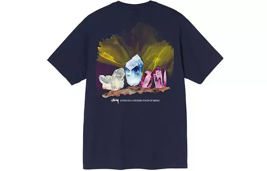 Мужская футболка Stussy, цвет Black