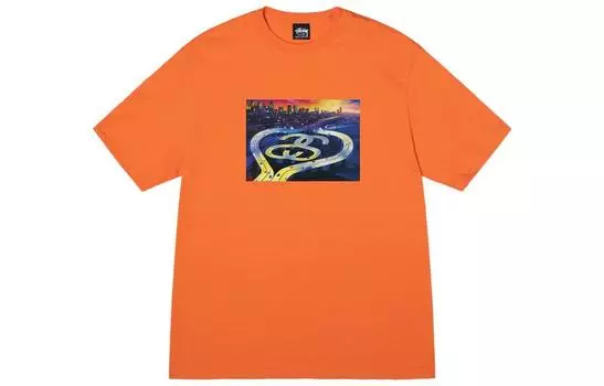 Мужская футболка Stussy, цвет Black