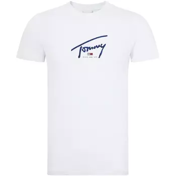 Мужская футболка Tommy Hilfiger, БелыйYBR