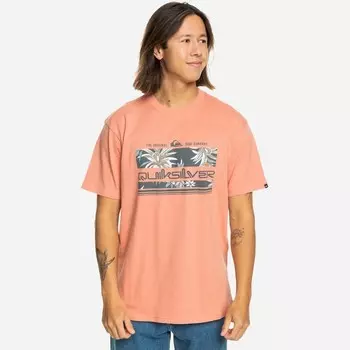 Мужская футболка тропическая радуга Quiksilver, красный