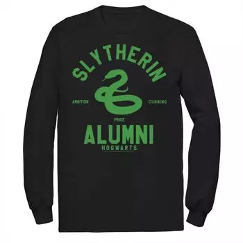 Мужская футболка выпускника Слизерина Harry Potter