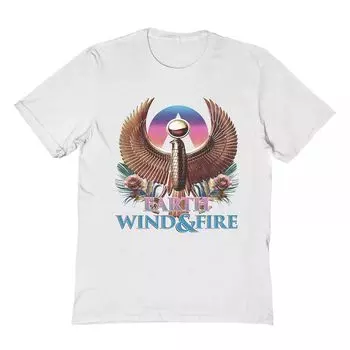 Мужская футболка «Земля», «Ветер», «Огонь» Licensed Character