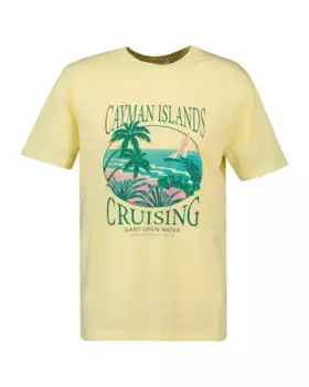 Мужская хлопковая футболка с рисунком на груди Gant, жёлтый