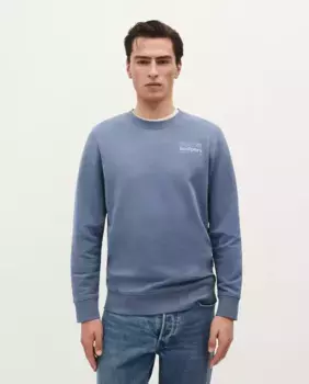 Мужская хлопковая толстовка с принтом на спине Scalpers, синий