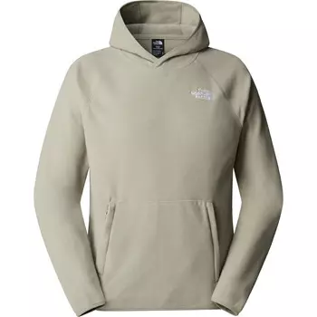 Мужская худи 100 Glacier The North Face, серый