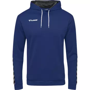 Мужская худи Hmlauthentic Multisport HUMMEL, цвет blau
