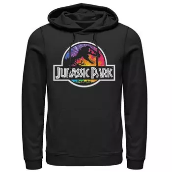Мужская худи с классическим логотипом в стиле Парк Юрского периода Tie Dye, Black Licensed Character, черный