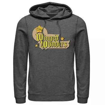 Мужская худи с текстовым логотипом The Winged Wonders DC Comics