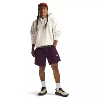 Мужская худи The North Face Evolution Vintage, цвет White Dune