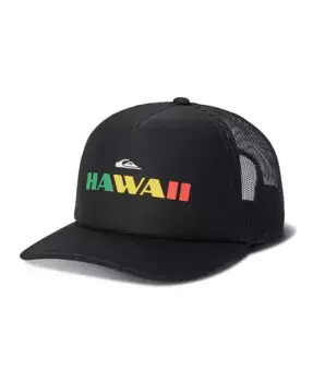 Мужская кепка Hi Snapback Trucker Cap Quiksilver, черный