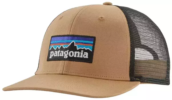 Мужская кепка с логотипом Patagonia P-6 Trucker, цвет Grayling Brown