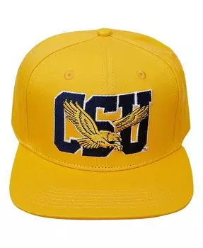 Мужская кепка Snapback Coppin State Eagles Evergreen CSU золотого цвета Pro Standard