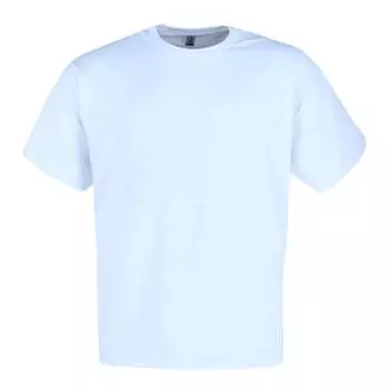 Мужская классическая футболка с круглым вырезом для больших и высоких мужчин Gildan, белый