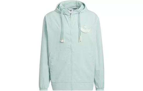 Мужская куртка ADICOLOR светло-зеленая Adidas Originals, светло-зеленый