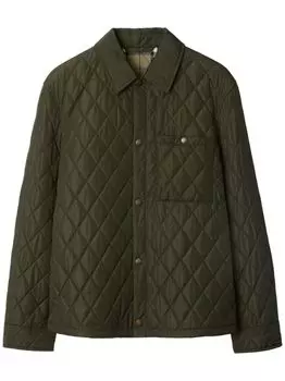 Мужская куртка Burberry, зеленый