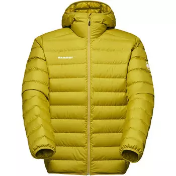 Мужская куртка с капюшоном Waymarker Mammut, желтый