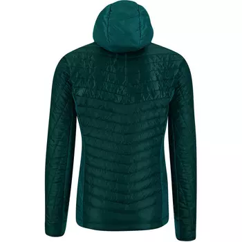 Мужская куртка Sas Plat Karpos, зеленый