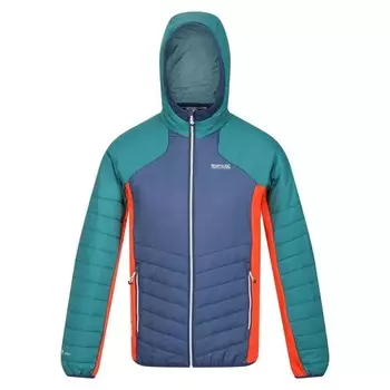 Мужская куртка Soft Shell с капюшоном и капюшоном Regatta, синий