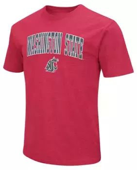 Мужская малиновая футболка Colosseum Washington State Cougars