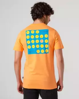 Мужская оранжевая футболка с коротким рукавом Skydiver, оранжевый