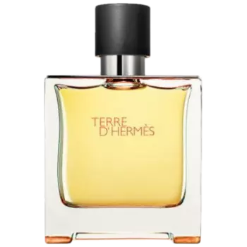 Мужская парфюмированная вода hermes Hermes Terre D', 75 мл
