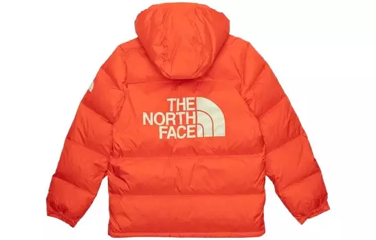 Мужская парка Sierra в стиле колор-блок The North Face, оранжевый