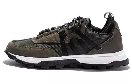 Мужская походная обувь Timberland, Green