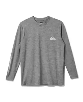 Мужская повседневная футболка с длинным рукавом Everyday Surf Quiksilver, серый
