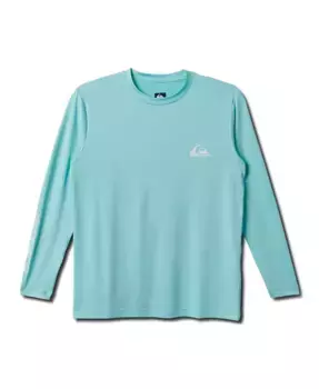Мужская повседневная футболка с длинным рукавом Everyday Surf Quiksilver, синий