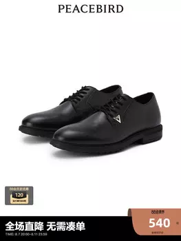 Мужская повседневная обувь Peacebird, черный