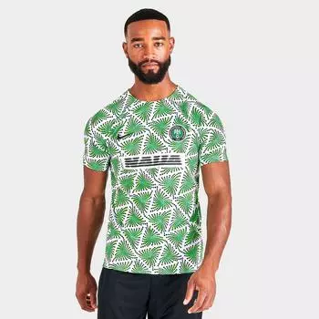 Мужская предматчевая футбольная футболка Nike Nigeria Dri-FIT, зеленый