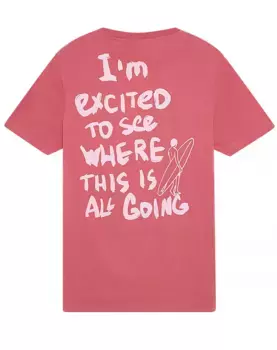 Мужская прямая футболка с принтом Skydiver, розовый