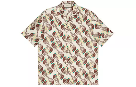 Рубашка мужская Gucci x The North Face, коричневый