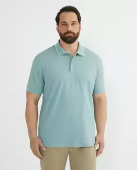 Мужская рубашка-поло Coolmax, большие размеры, короткие рукава, однотонная Dustin, цвет Verde Agua