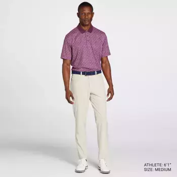 Мужская рубашка-поло для гольфа с принтом Walter Hagen Performance 11, цвет Dogwood Ditsy Beet Purple