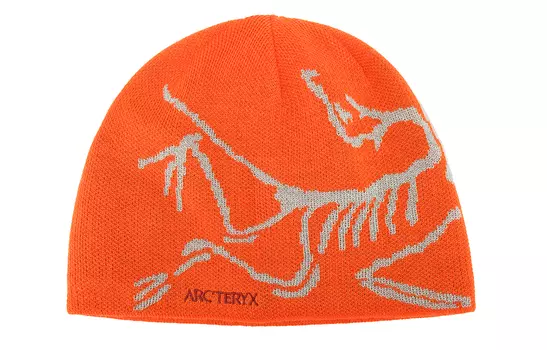 Шапка мужская Arcteryx, оранжевый
